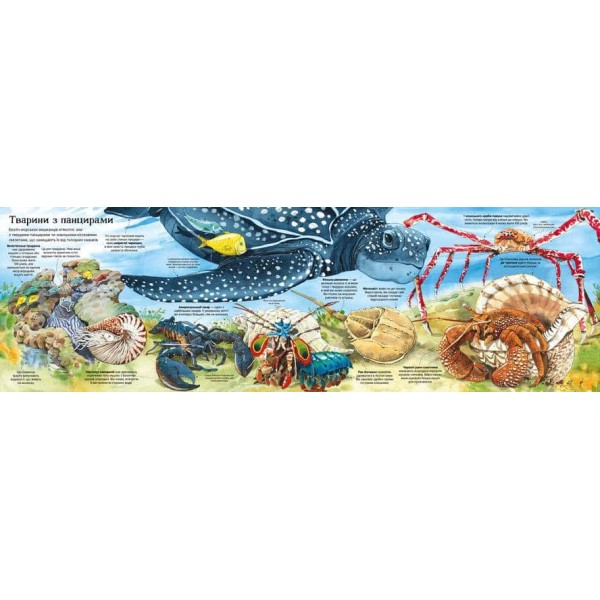 Велика книга морських мешканців Велика книга морських мешканців