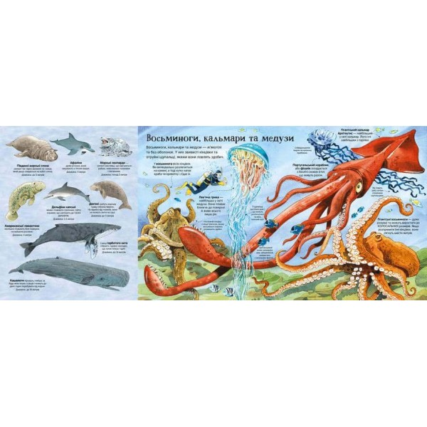 Велика книга морських мешканців Велика книга морських мешканців