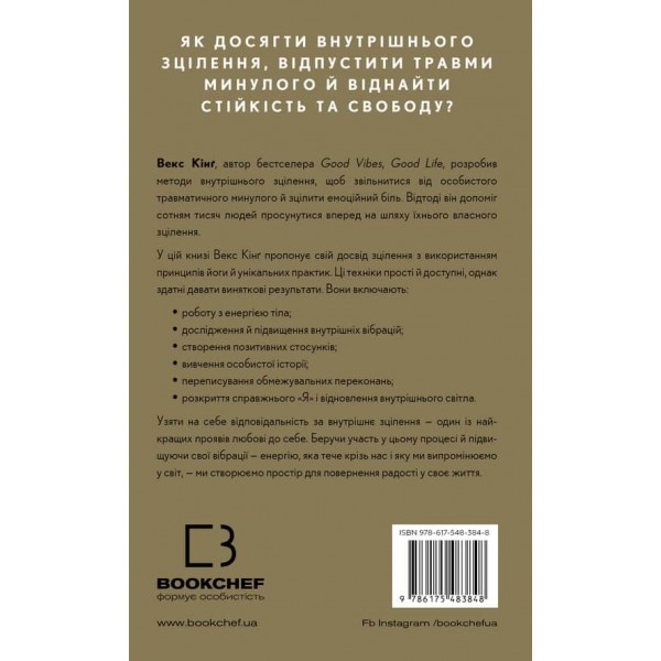 Healing Is the New High. Посібник із подолання емоційних потрясінь і здобуття свободи