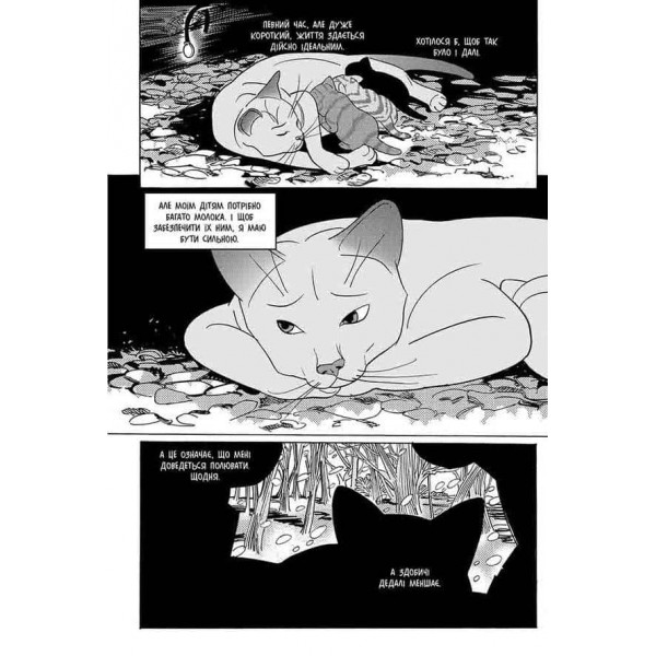 Коти-вояки. Манґа 7. Тигрозір і Саша. Повернення до Кланів