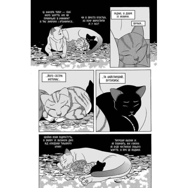 Коти-вояки. Манґа 7. Тигрозір і Саша. Повернення до Кланів
