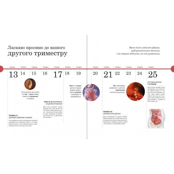 Практична психологія. Вагітність день за днем