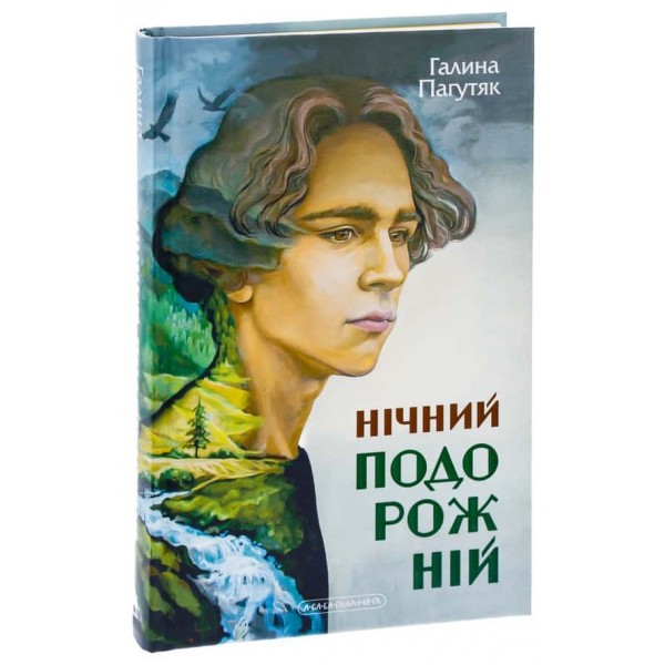 Нічний подорожній
