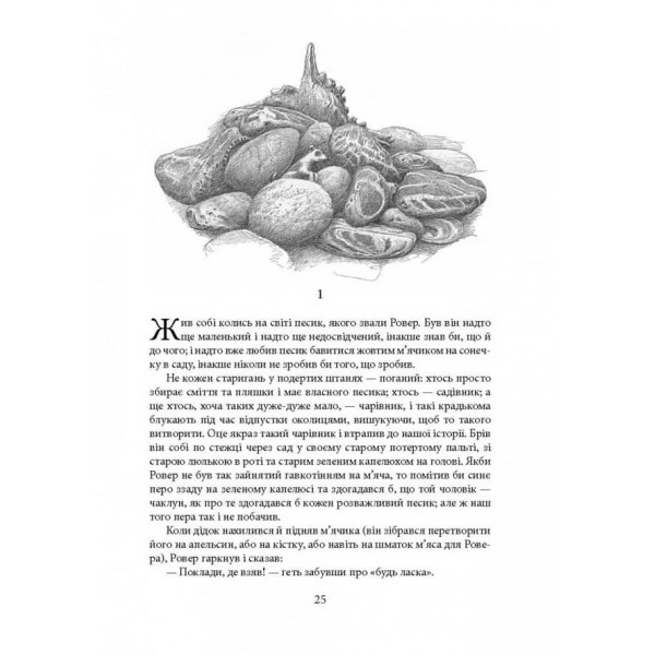 Сказання з Небезпечного Королівства. Ілюстроване видання