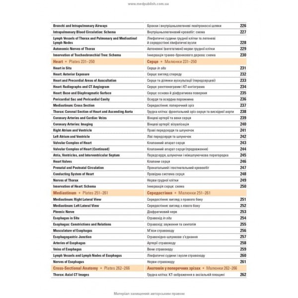 Атлас анатомії людини за Неттером. Класичний ділянковий підхід. 8-е видання (двомовне видання)