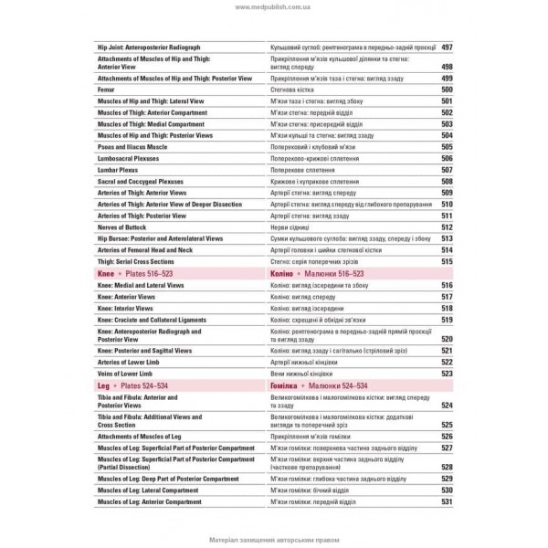 Атлас анатомії людини за Неттером. Класичний ділянковий підхід. 8-е видання (двомовне видання)