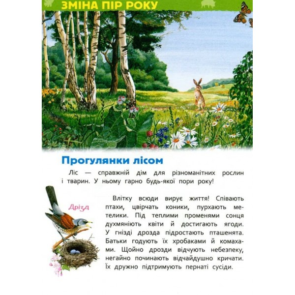 У лісі. Моя перша енциклопедія