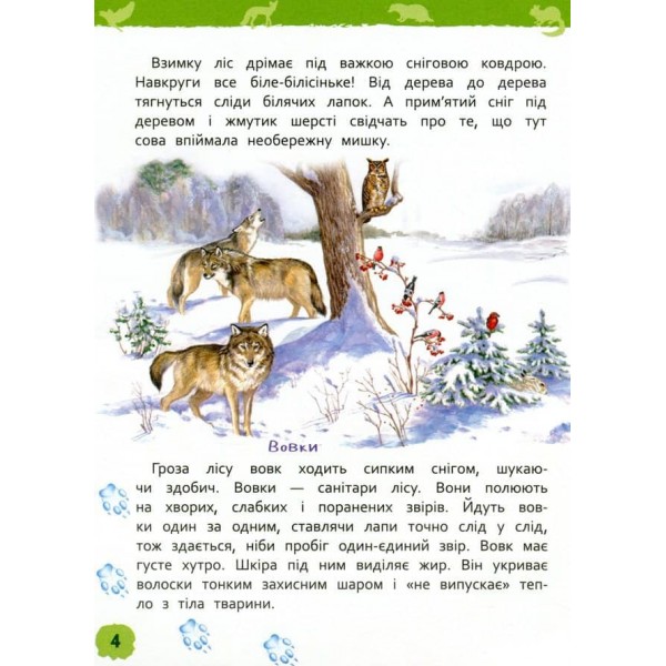 У лісі. Моя перша енциклопедія