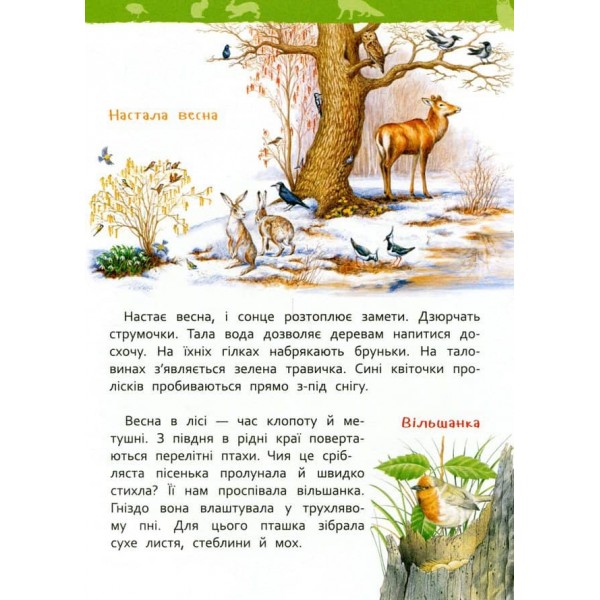 У лісі. Моя перша енциклопедія