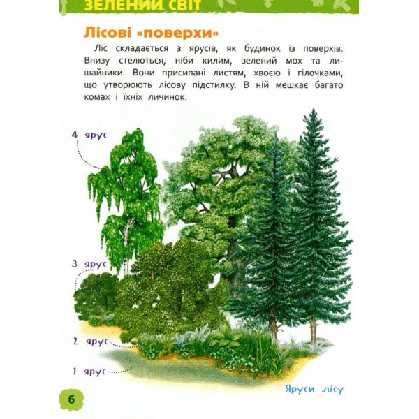 У лісі. Моя перша енциклопедія