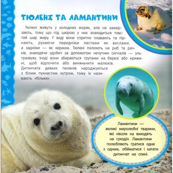 Підводний світ. Найперша енциклопедія