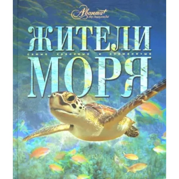 Жителі моря