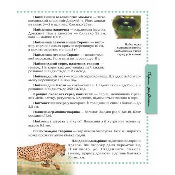 Тварини