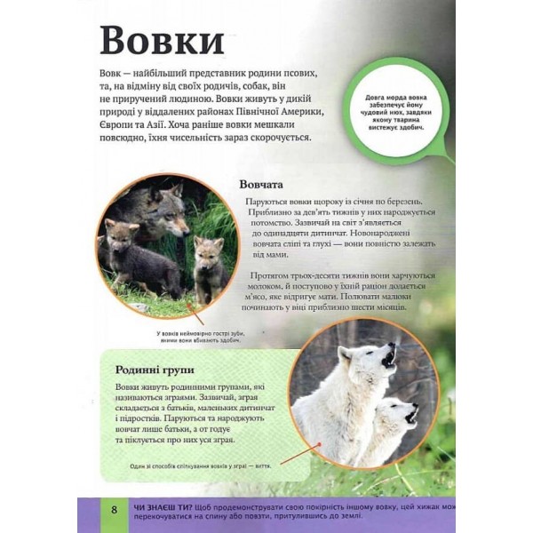 Дитяча енциклопедія хижаків