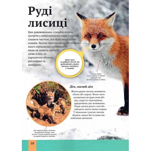 Дитяча енциклопедія хижаків
