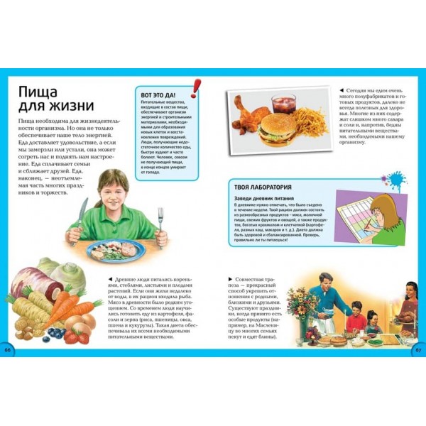 Все про тіло людини