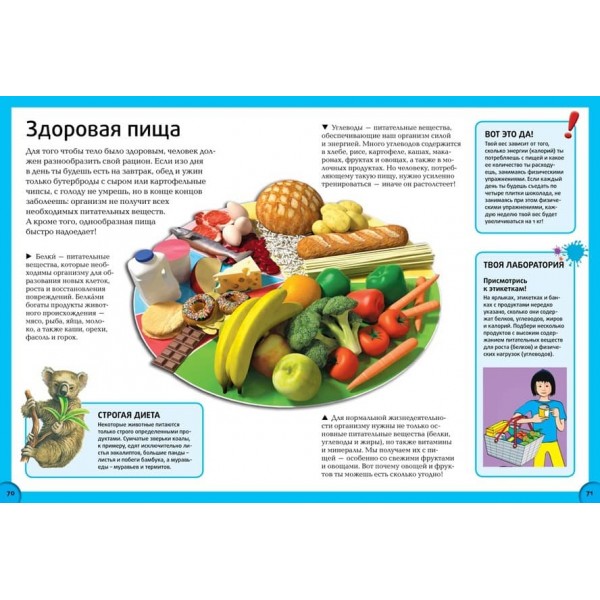 Все про тіло людини