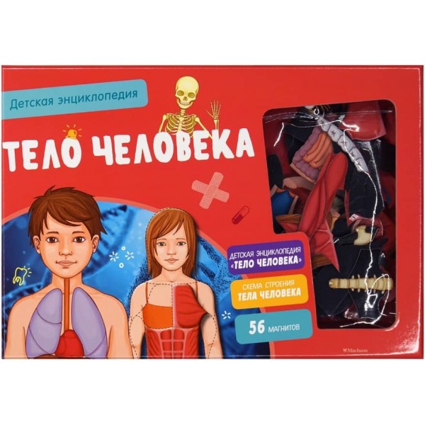 Тіло людини. Дитяча енциклопедія (нове оформлення, в коробці)