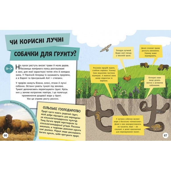 ДовколаПитань. Енциклопедія юних розумників (українською мовою)