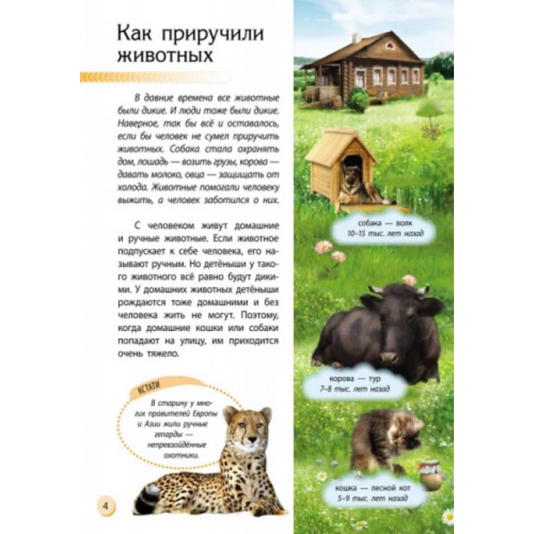 Тваринний світ. Пізнаємо і досліджуємо (російською мовою)