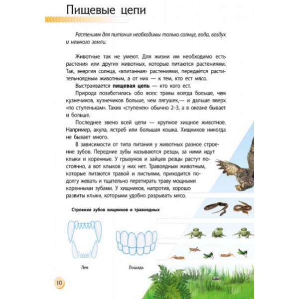 Тваринний світ. Пізнаємо і досліджуємо (російською мовою)