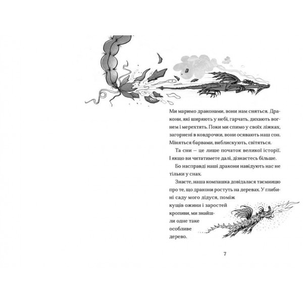 Хлопчик, який марив драконами. Книга 4