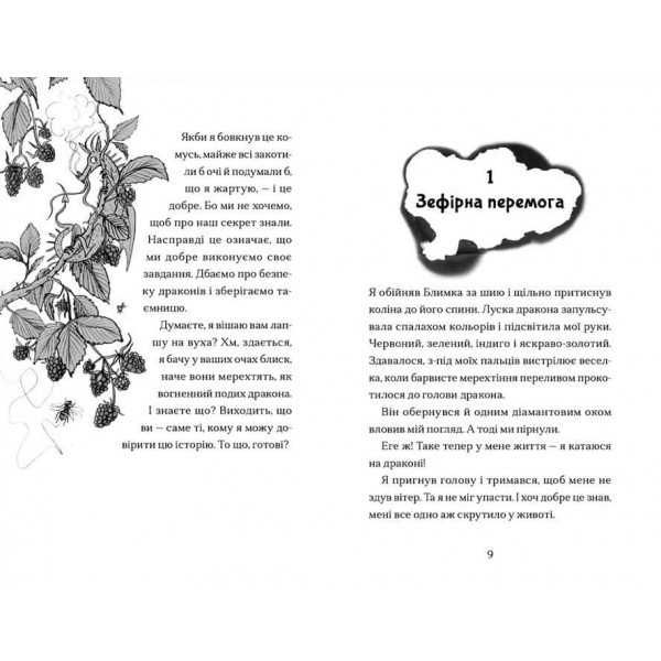 Хлопчик, який марив драконами. Книга 4
