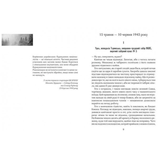 Чорний ліс