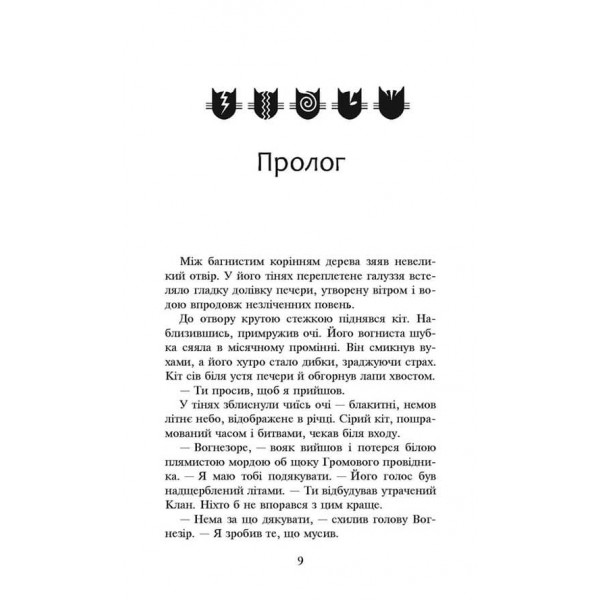 Коти-вояки. Сила трьох. Книга 1. Прозір