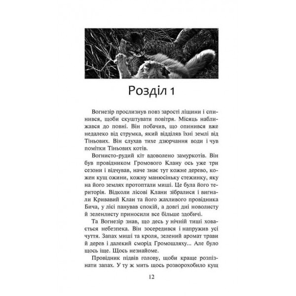 Коти-вояки. Шлях Вогнезора. Спеціальне видання