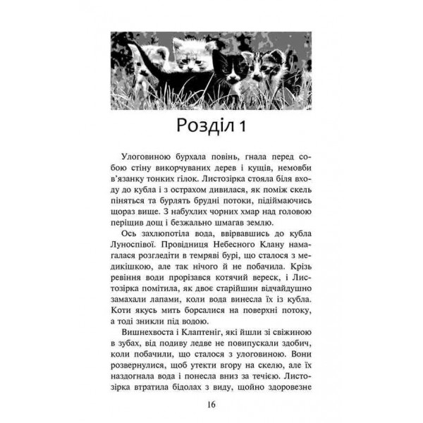 Коти-вояки. Доля Небесного Клану. Спеціальне видання