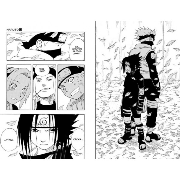 Naruto. Наруто. Книга 5. Перерваний іспит