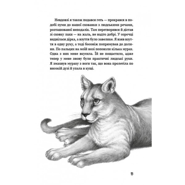 Діти лісу. Книга 3. Таємниця Голлі