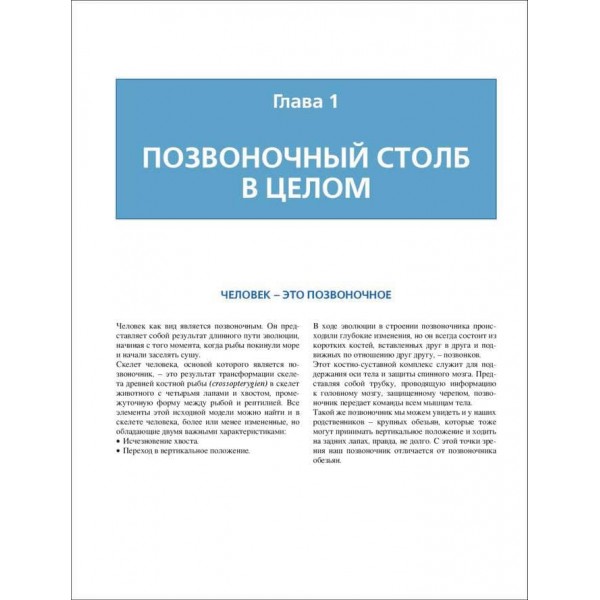 Хребет. Фізіологія суглобів