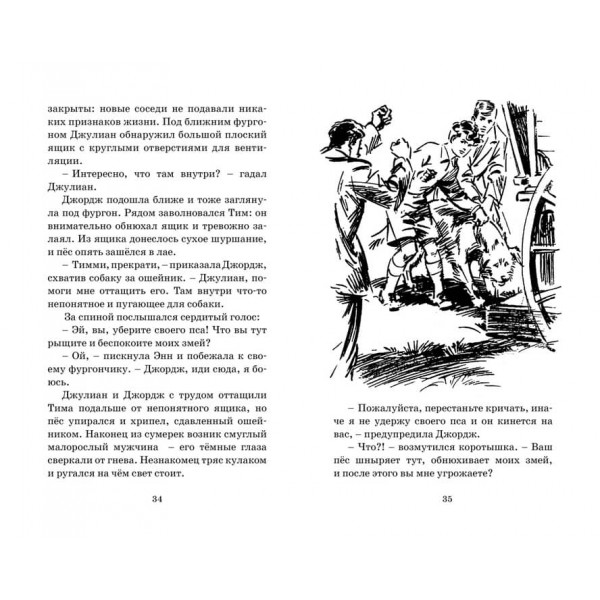 Знаменита п'ятірка. Книга 11. В'язень старовинного замку