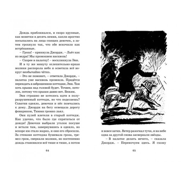 Знаменита п'ятірка. Книга 15. Таємниця римських руїн