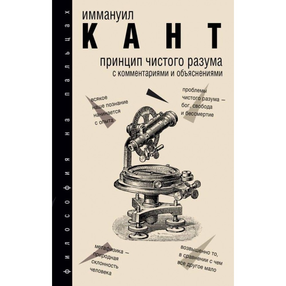 Принцип чистого розуму з коментарями та поясненнями (російською мовою)