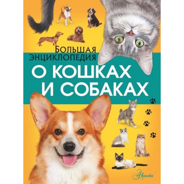 Велика енциклопедія про кішок і собак (російською мовою)