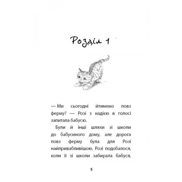 Руданчик — кошеня-безхатько (українською мовою)