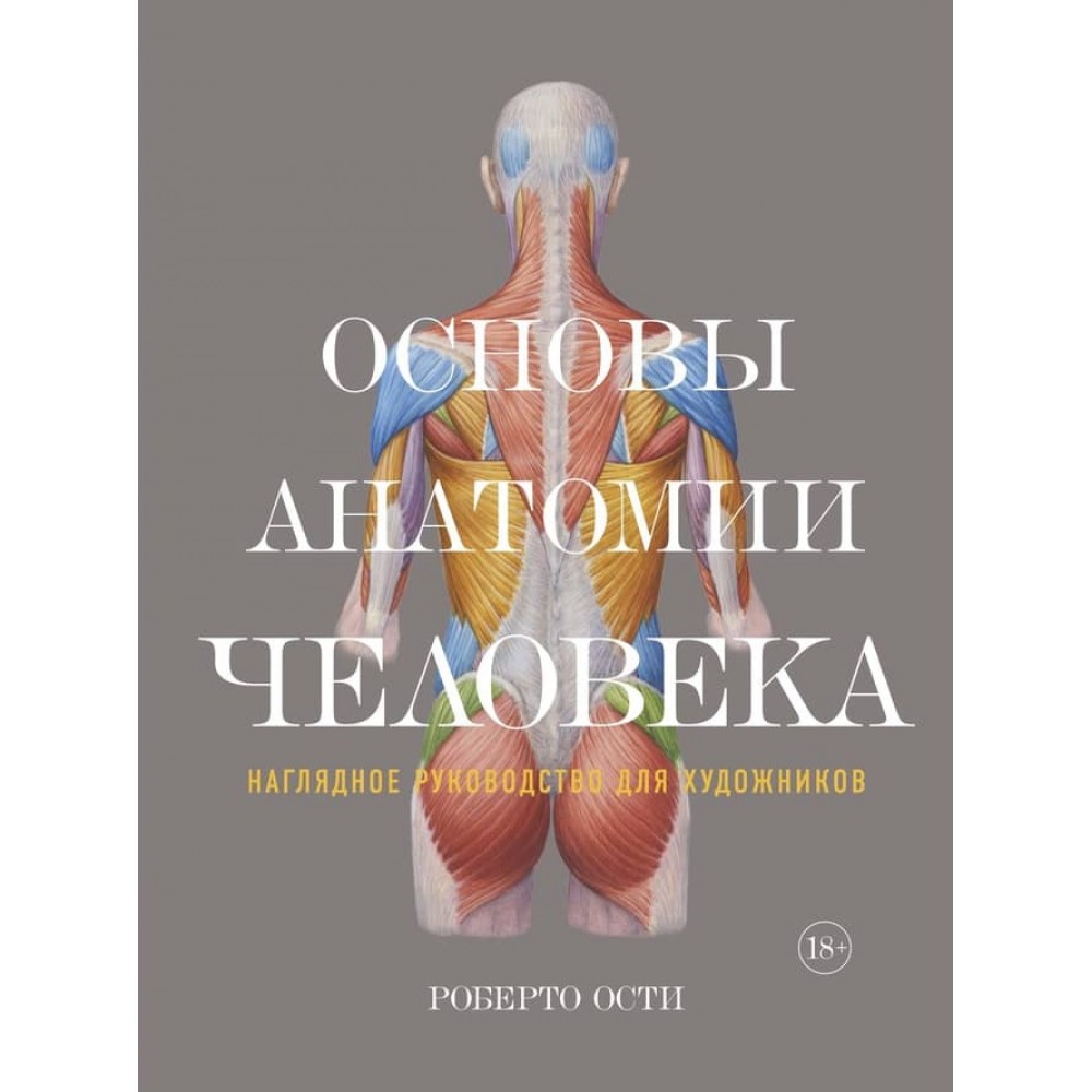 Основи анатомії людини. Наочне керівництво для художників