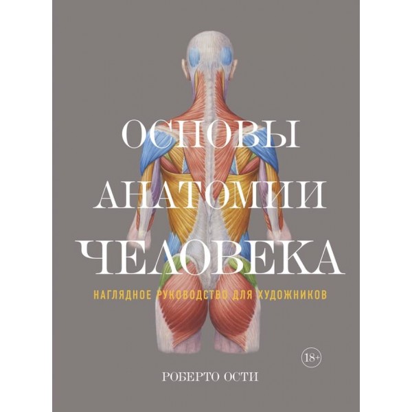 Основи анатомії людини. Наочне керівництво для художників