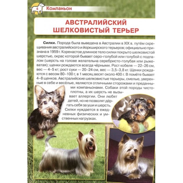 Велика енциклопедія. Собаки і цуценята (російською мовою)