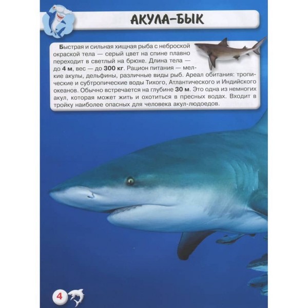 Світ навколо нас. Акули (російською мовою)
