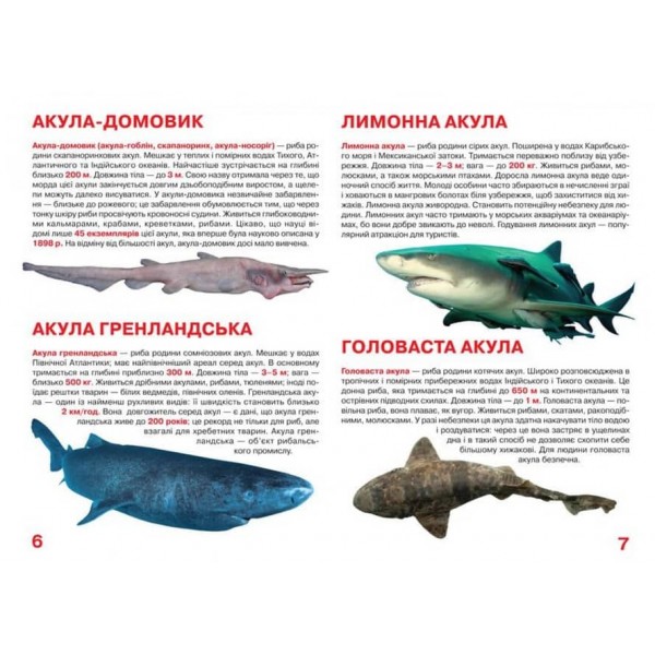 Велика книжка. Акули (українською мовою)