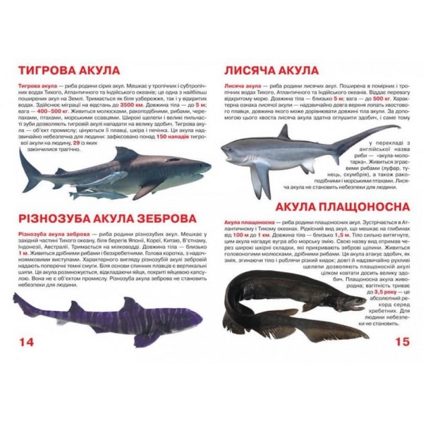 Велика книжка. Акули (українською мовою)