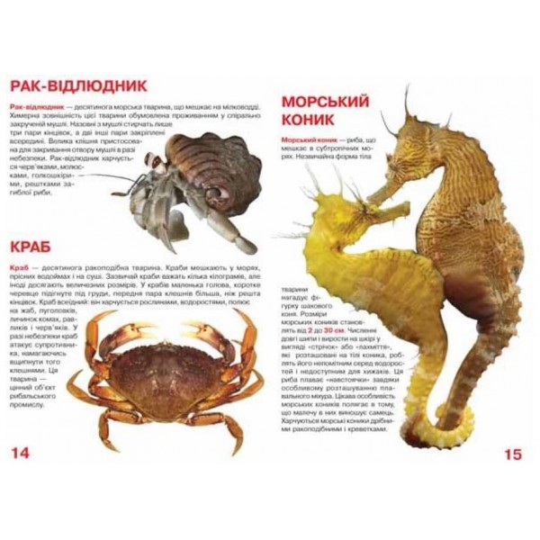Велика книжка. Мешканці морів та океанів  (українською мовою)