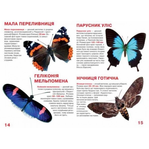 Велика книжка. Метелики  (українською мовою)