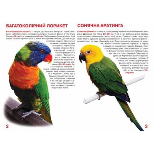 Велика книжка. Папуги (українською мовою)