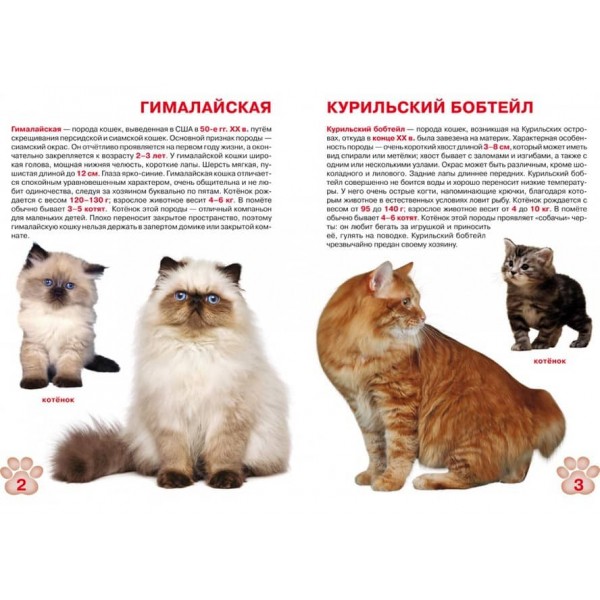 Велика книга. Кішки (код 357-2) (російською мовою)