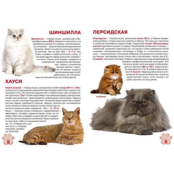 Велика книга. Кішки (код 357-2) (російською мовою)